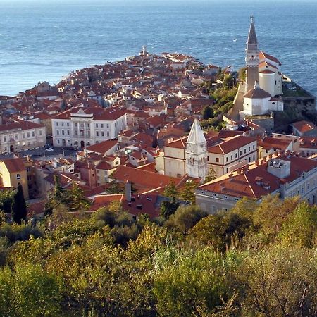Sea View Istrian Countryside Apartment - Rota Dragonja 외부 사진