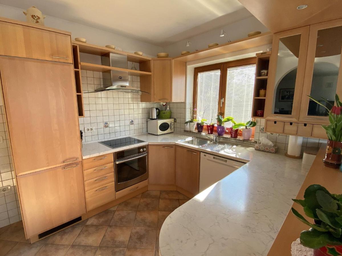 Sea View Istrian Countryside Apartment - Rota Dragonja 외부 사진