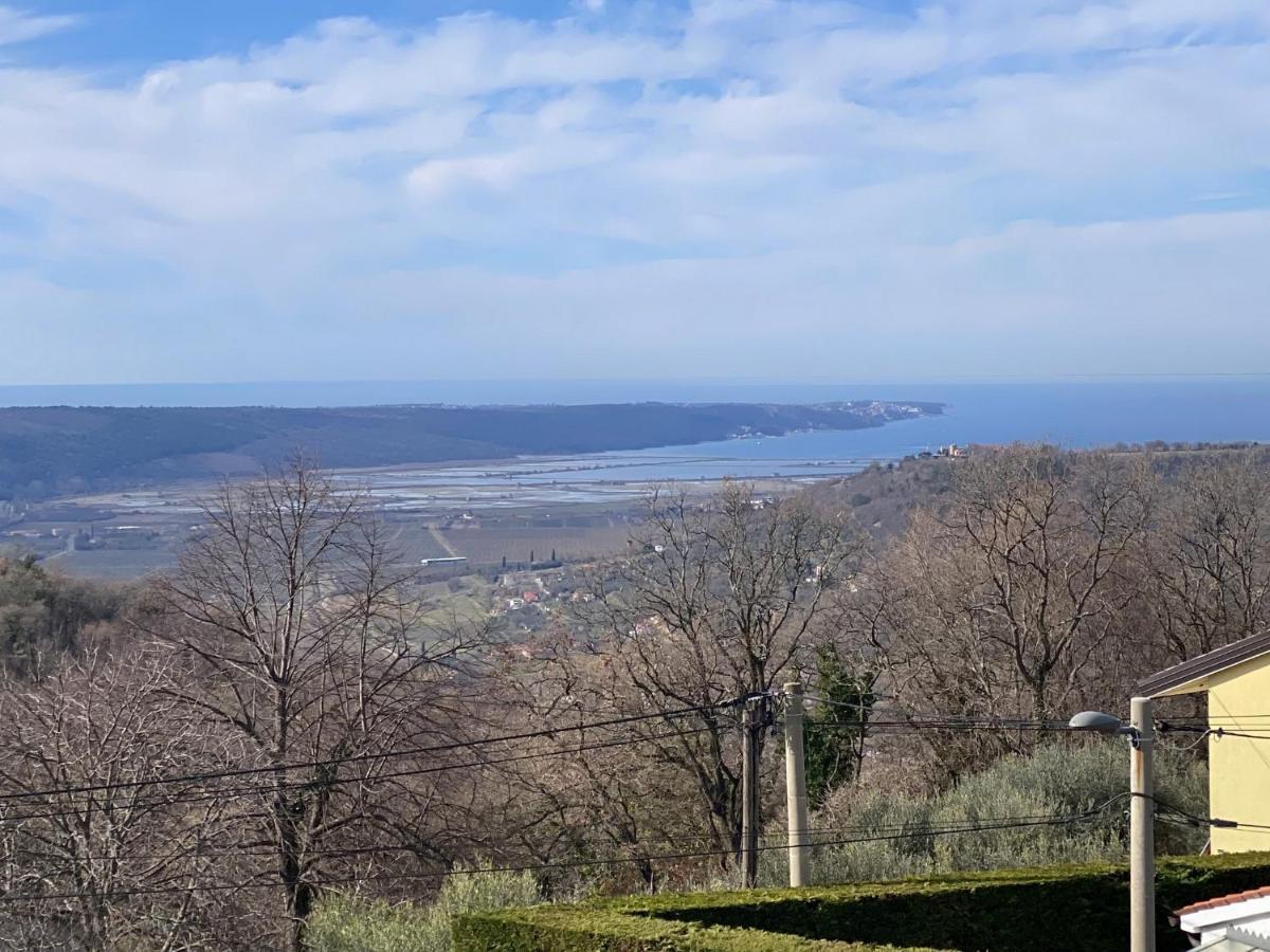 Sea View Istrian Countryside Apartment - Rota Dragonja 외부 사진