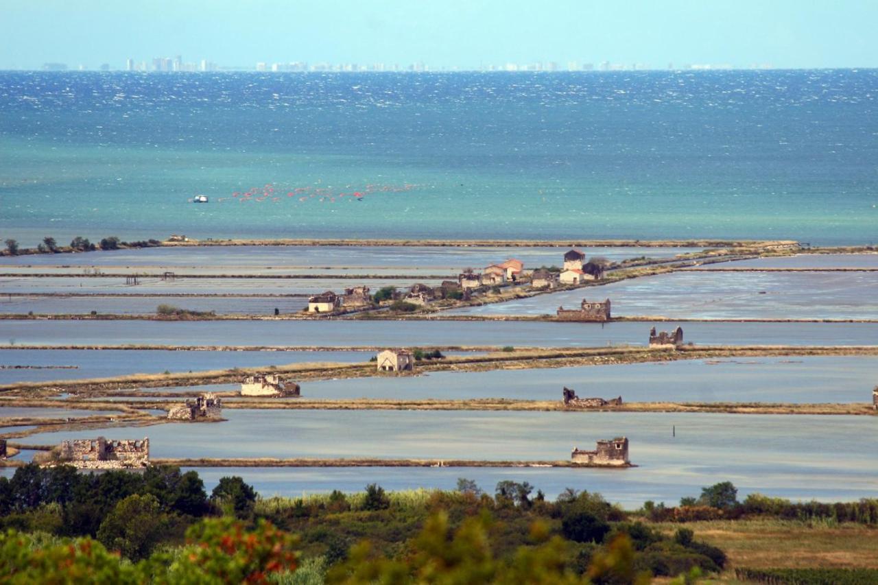 Sea View Istrian Countryside Apartment - Rota Dragonja 외부 사진