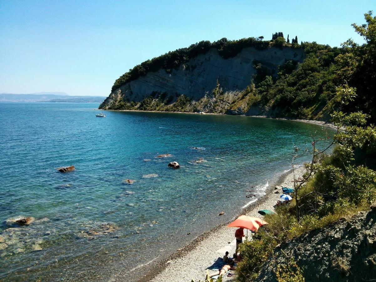 Sea View Istrian Countryside Apartment - Rota Dragonja 외부 사진